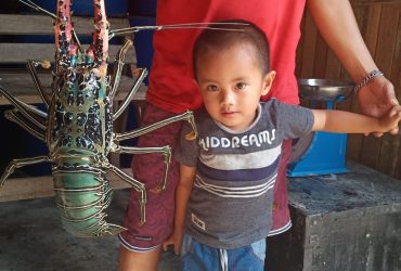 Potensi Lobster dan Blue Marlin Pesisir Barat
