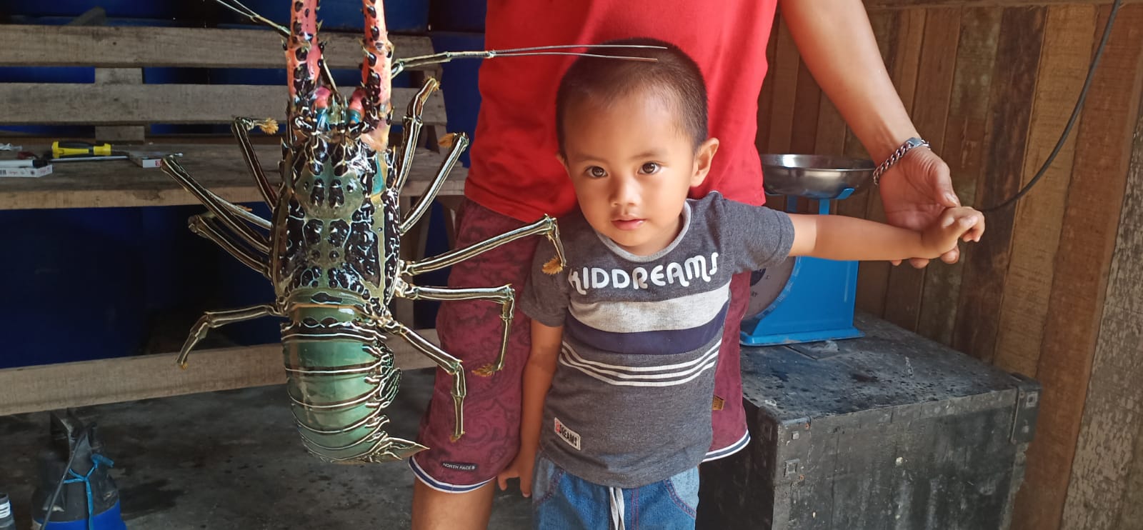 Potensi Lobster dan Blue Marlin Pesisir Barat