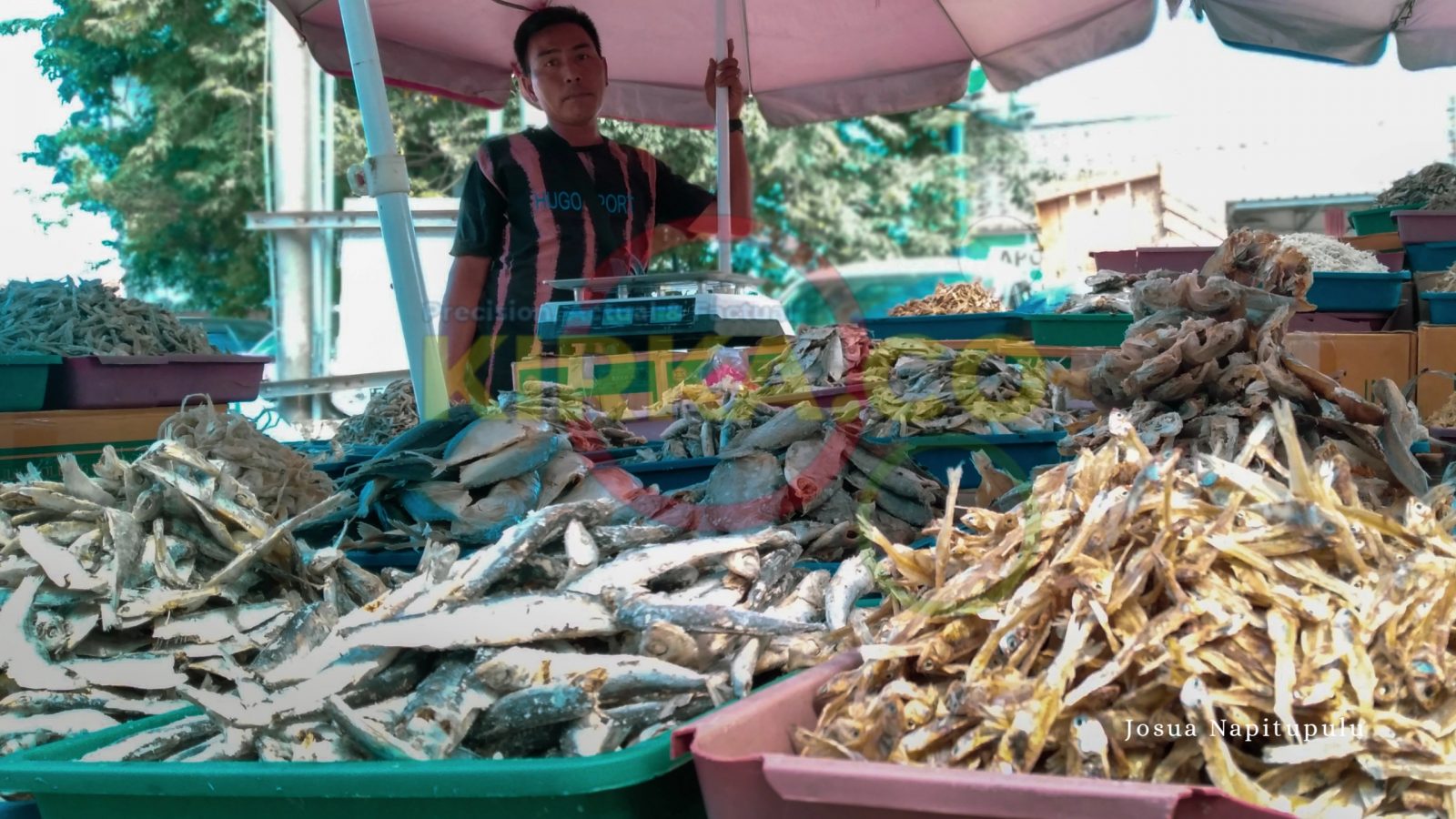 Pasca Lebaran 2022 Konsumsi Sayur dan Ikan Asin Meningkat di Bandar Lampung