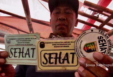 Wabah PMK Bikin Resah Pedagang Hewan Kurban