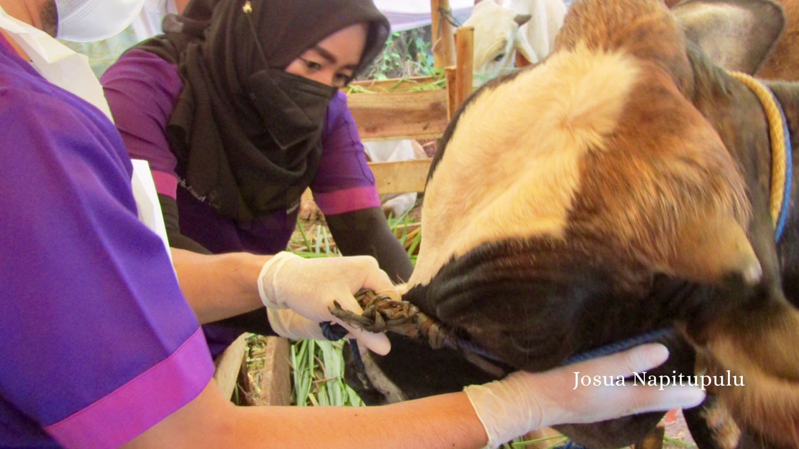 Satgas Pangan Bandar Lampung Periksa