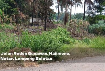 Jual Tanah di Natar Lampung Selatan