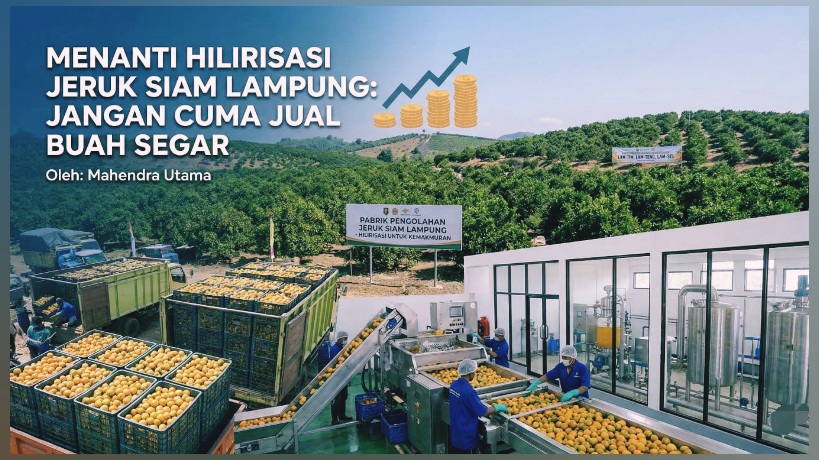 Hilirisasi Jeruk Siam Lampung