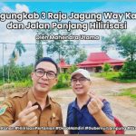 3 Raja Jagung Way Kanan