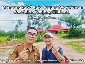 3 Raja Jagung Way Kanan