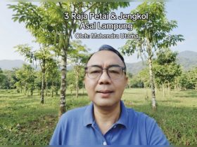 3 Raja Petai & Jengkol Asal