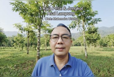 3 Raja Petai & Jengkol Asal