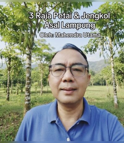 3 Raja Petai & Jengkol Asal