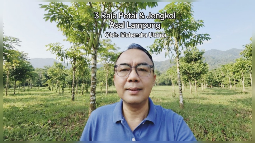 3 Raja Petai & Jengkol Asal