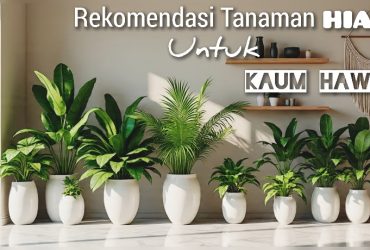 Rekomendasi 5 Tanaman Hias Estetik dan Sehat