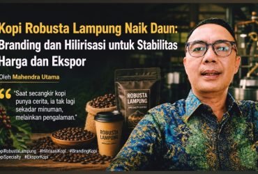 Kopi Robusta Lampung Naik Daun