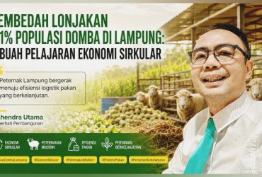 Populasi Domba di Lampung