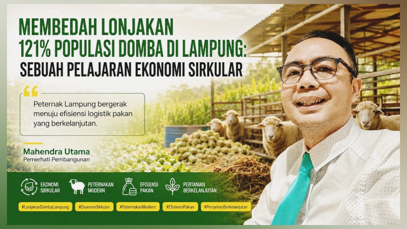 Populasi Domba di Lampung