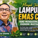 Minyak Jelantah Lampung