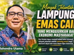 Minyak Jelantah Lampung