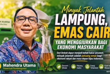 Minyak Jelantah Lampung