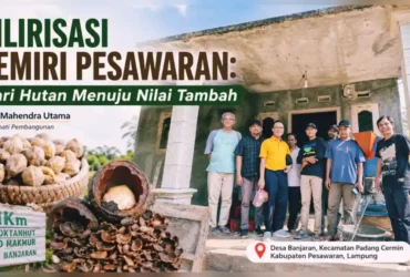 Hilirisasi Kemiri Pesawaran