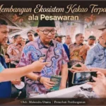 Membangun Ekosistem Kakao Terpadu ala Pesawaran